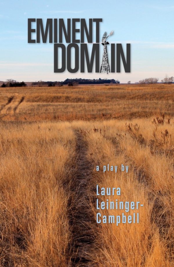 Eminent Domain book cover